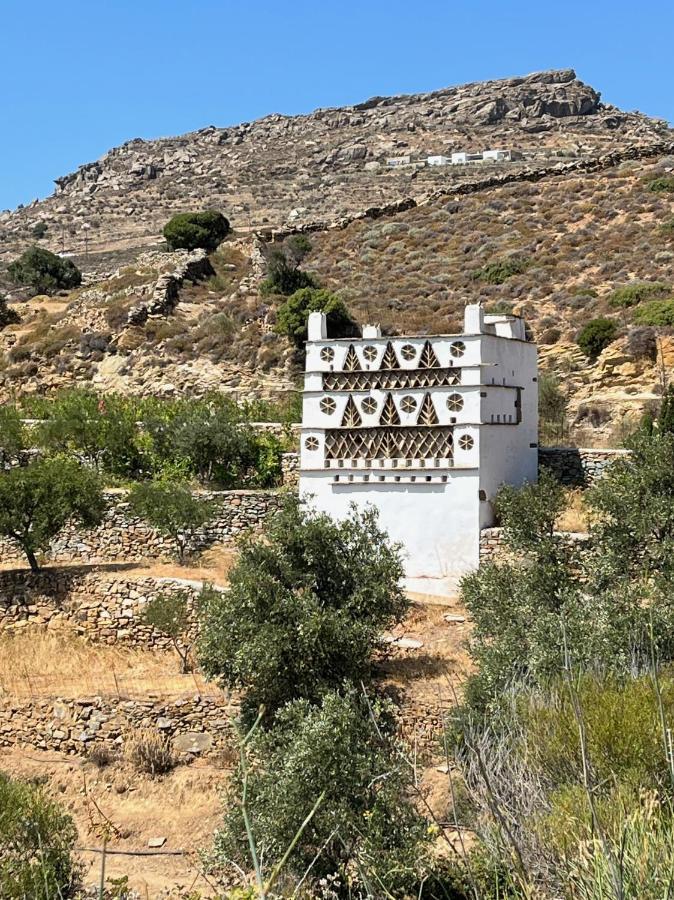 Sea Views - Marble Palace - 2 Floors Tínos المظهر الخارجي الصورة